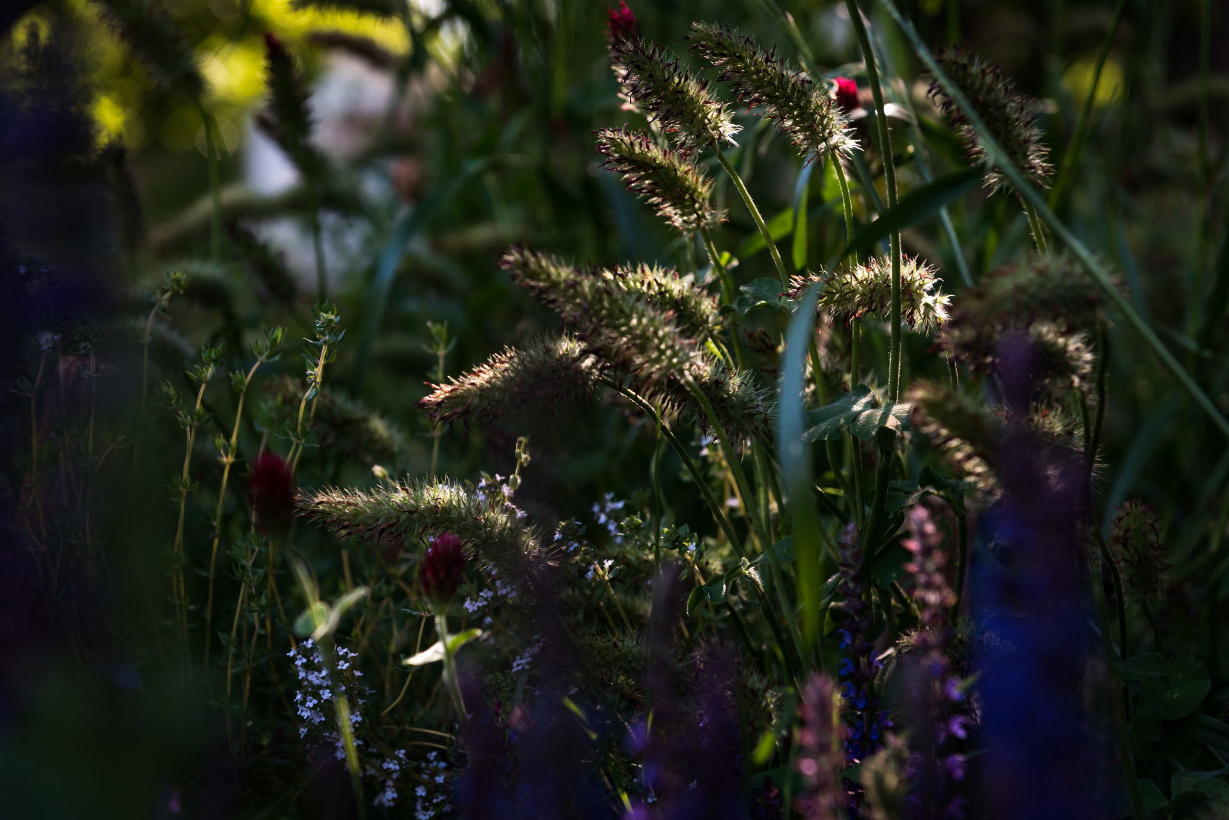 Jim and Jan Hullihan Urban Garden